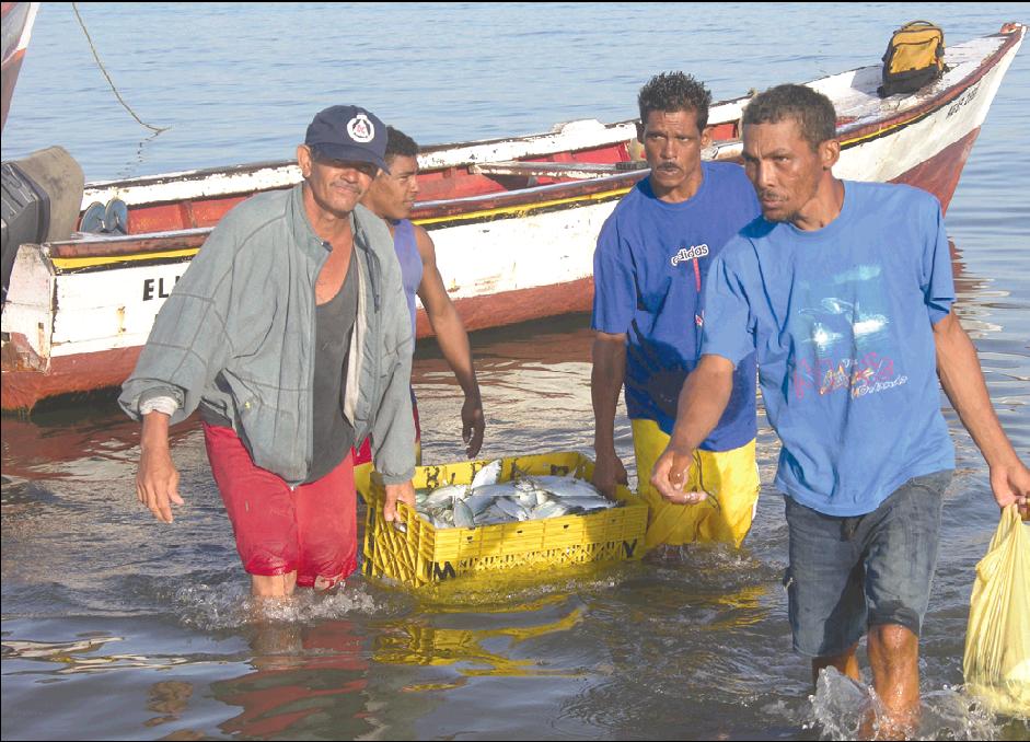 El Noventa Por Ciento De Pescadores Ganan 265 Dólares El Diario Ecuador 2817