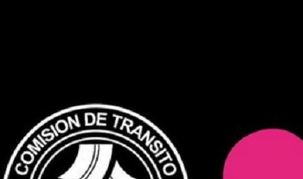 Imagen de perezoso se convierte en ícono de la CTE | El Diario Ecuador
