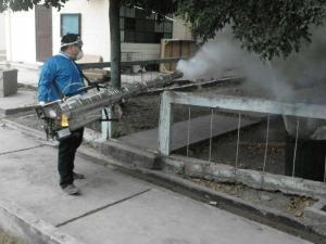 Fumigación para prevenir enfermedades en Rocafuerte - El Diario Ecuador