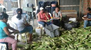 Ultiman preparativos para el Festival de la torta de choclo en Paján - El Diario Ecuador