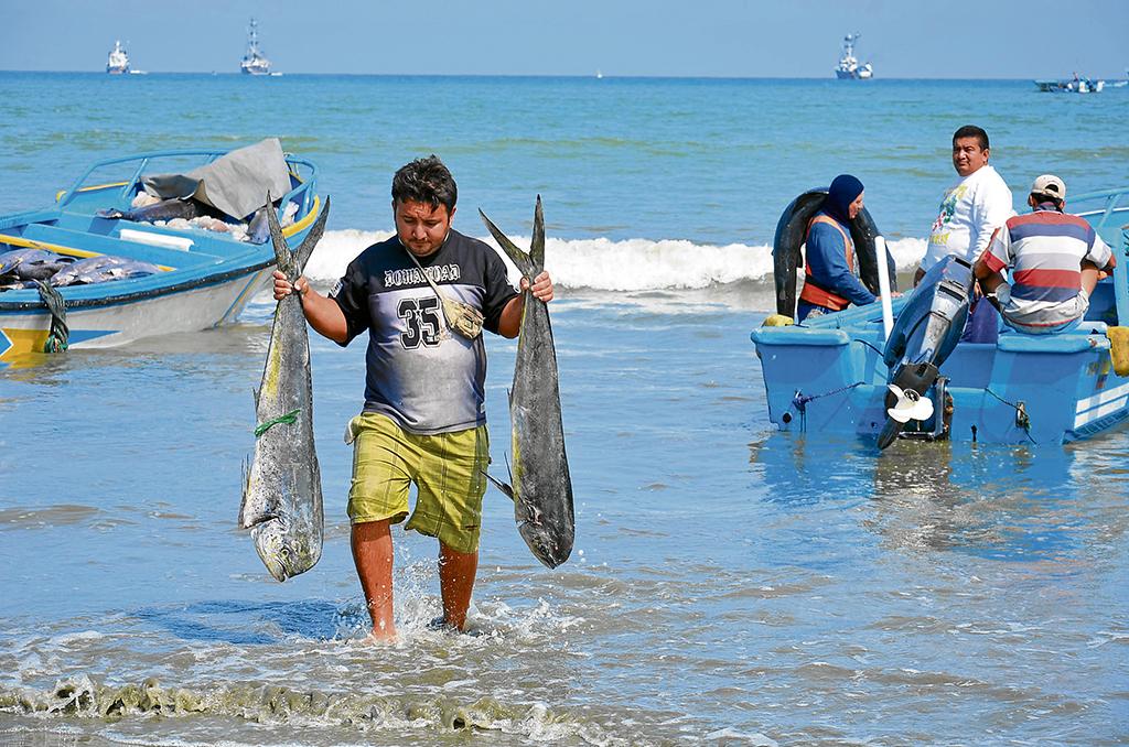 Pescadores Artesanales Recordarán Su Día En Balneario Los Arenales El Diario Ecuador 9519