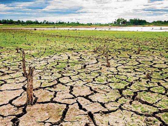 Cambio Climático Ataca Producción | El Diario Ecuador