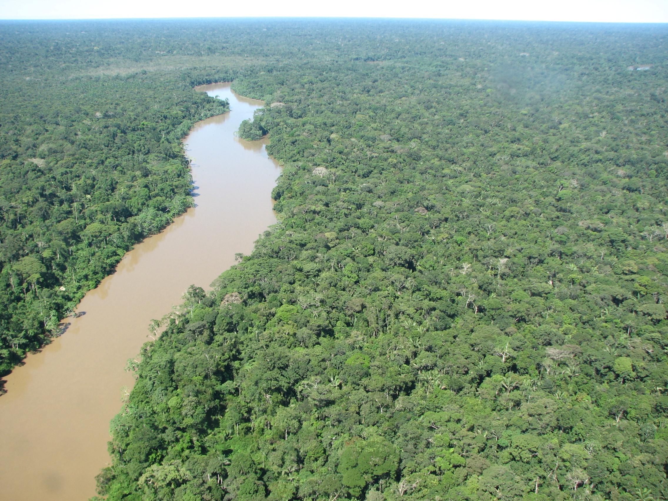 Imagen De Region Amazonica