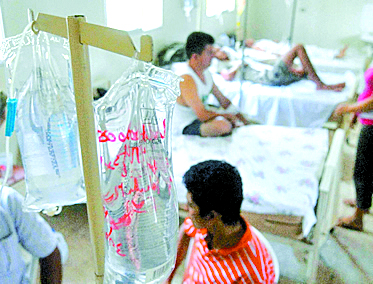 Ya son cinco los casos de dengue hemorrágico