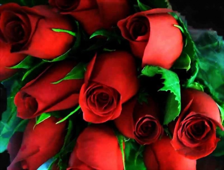 Ecuador seduce al mundo con sus rosas rojas en San Valentín pese a la crisis