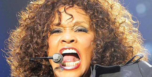 Muere la cantante Whitney Houston a los 48 años