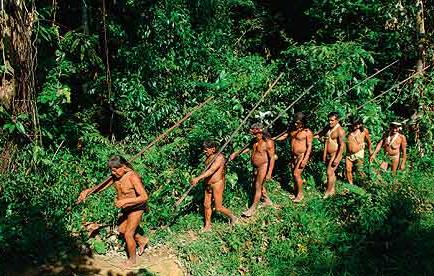 Piden que caso Huaorani-Taromenane vaya a CorteIDH
