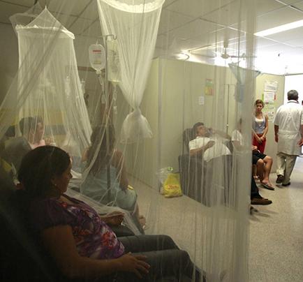 El dengue arrasa y ya  suman 43 muertes