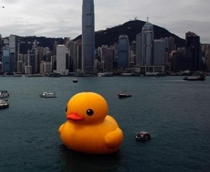 Un pato gigante navega por la paz