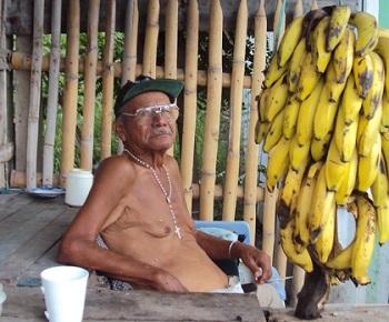 Bananeros aumentarán producción para industrializar la fruta
