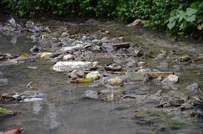 El río Pove de Santo Domingo tiene un alto grado de contaminación, según el MAE