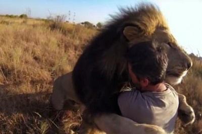 Un hombre vive entre los leones como parte de la manada | El Diario Ecuador