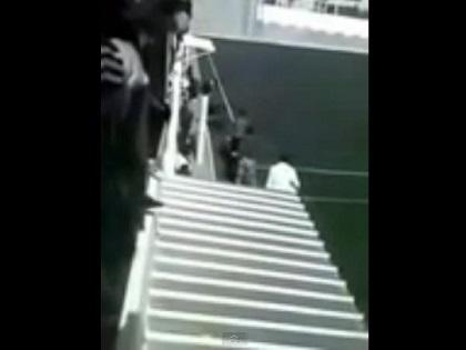 Un hombre lanzó un perro a un árbitro desde una tribuna