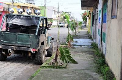 Ciudadanos destruyen plantas ornamentales en Santo Domingo