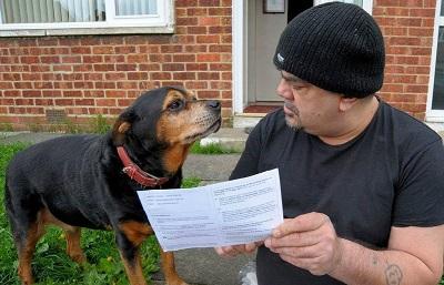 Un perro rottweiler podrá votar en los comicios del Parlamento Europeo
