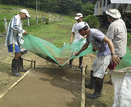 Caficultores y cacaoteros reciben apoyo para reactivar su producción