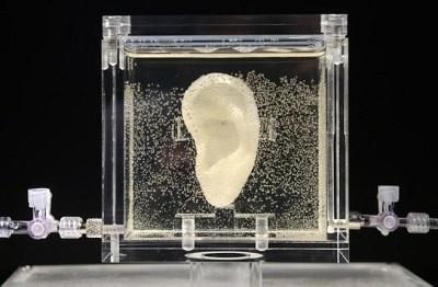 Reconstruyen la oreja de Van Gogh a partir de las células de un descendiente