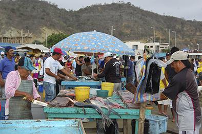 La Pesca Mueve La Economia El Diario Ecuador