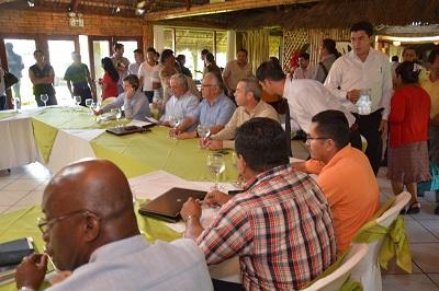Palmicultores de todo el país luchan contra la Pudrición de Cogollo (PC)
