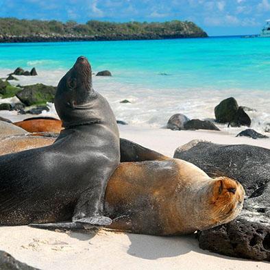 Galápagos, la mejor isla de centro y Sudamérica