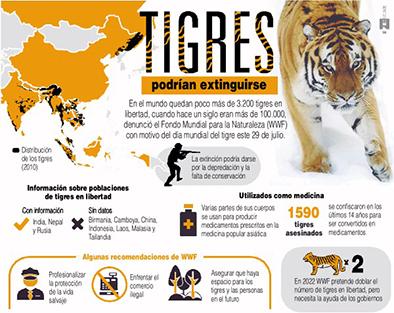 Advierten sobre la extinción de tigres