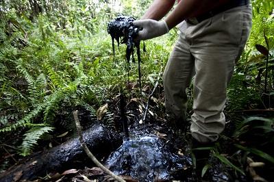 Expertos analizan implicaciones en la contaminación de la Amazonía