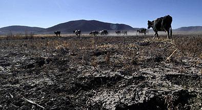 Sequía azota a 117  municipios colombianos