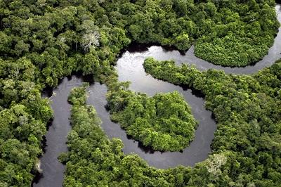 La Amazonía brasileña perdió 5.891 kilómetros de bosques en 2013