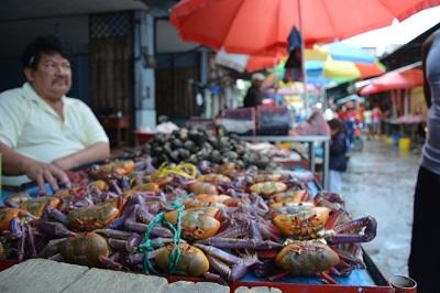 Cangrejo vuelve a la venta en Santo Domingo de los Tsáchilas