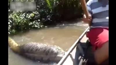 Video: Anaconda gigante es registrada en video por unos pescadores