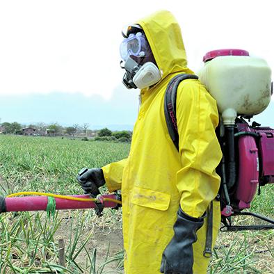 El uso de pesticidas, una realidad peligrosa