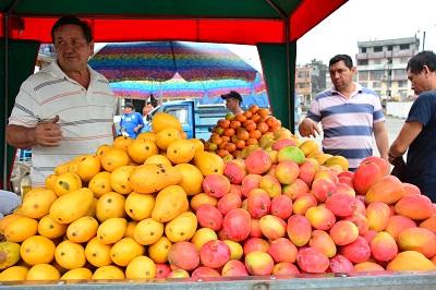 Comienza la época de mangos en Santo Domingo de los Tsáchilas
