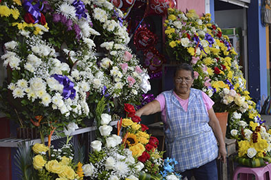 Las flores encarecieron previo al Día de los Fieles Difuntos | El Diario  Ecuador