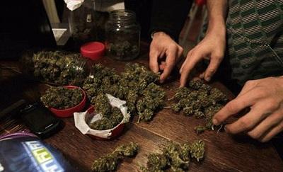 La marihuana es la droga que más consume en el país, según Consep
