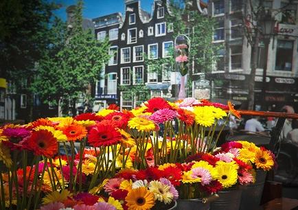 Holanda remonta exportación flores frente a mercados emergentes como Ecuador