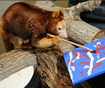 El Zoo de Miami inaugura una muestra de pinturas hechas por animales