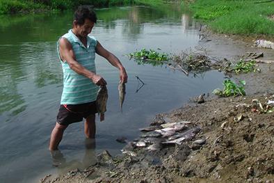 Encuentran peces muertos en el río Portoviejo