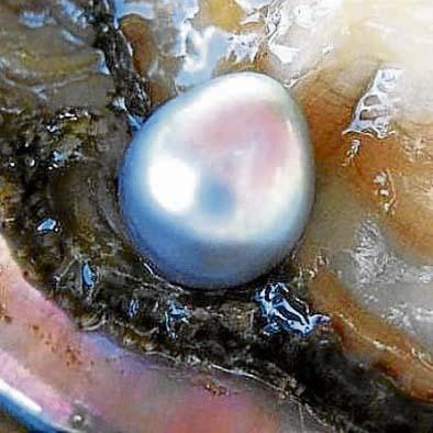 Una perla $10.000 aparece dentro de un plato de sopa