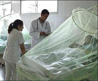 Dengue hemorrágico causa la muerte de dos ancianos en Perú