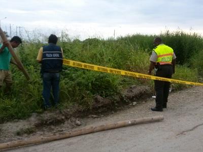 Moradores hallan un cadáver desmembrado en Pedernales
