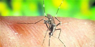 La malaria podría diagnosticarse con pruebas de aliento, según científicos