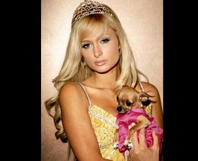 Paris Hilton despide a su chihuahua