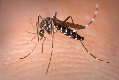 Casos de dengue aumentan un 234,2% en Brasil