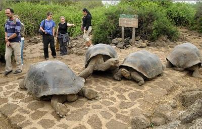 El turismo en Galápagos creció un 6 por ciento en 2014