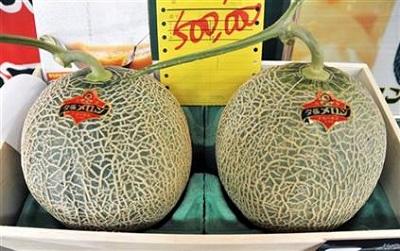 Venden dos melones por 13.000 dólares en una subasta en Japón