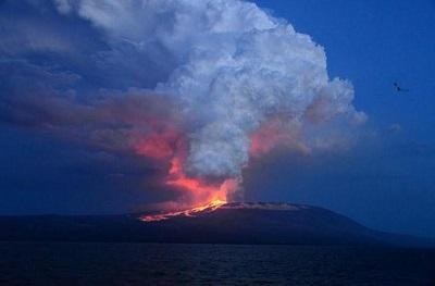 El volcán Wolf de la Isla Isabela hizo erupción esta madrugada
