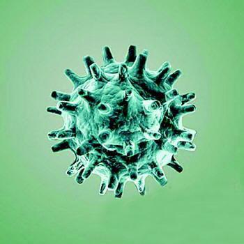 China confirma el primer caso de nuevo coronavirus en su territorio