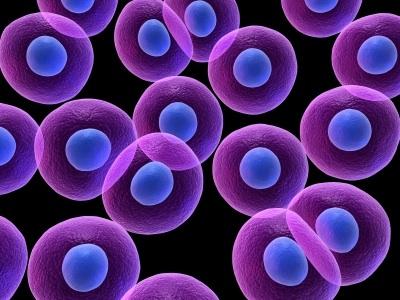 La fusión de células normales puede desencadenar procesos cancerígenos