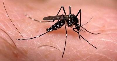 Ascienden a 35 los muertos por chikungunya en Colombia