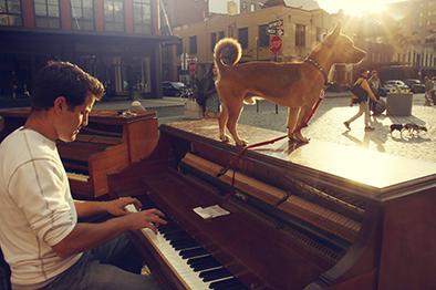 Recorre el mundo con un piano y  su perro ‘Brandon’